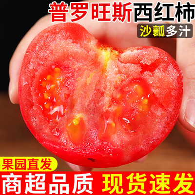 【沙瓤番茄水果】普罗旺斯西红柿