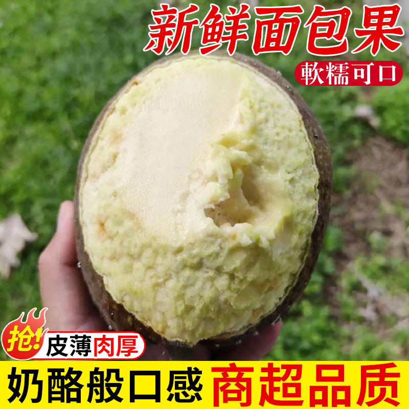 新鲜面包果当季面包树果实蒸煮炸炖烤皆可热带特产水果冰淇淋口感