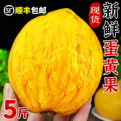 新鲜蛋黄果5斤新鲜粉糯鸡蛋果狮子头果当季热带水果特产顺丰包邮3