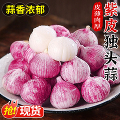 云南紫皮独头蒜大蒜头新鲜干蒜应当季蔬菜红珍珠圆头独蒜辣蒜包邮
