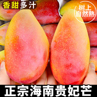 海南贵妃芒新鲜芒果应当季水果树上熟红金龙辣椒芒甜心芒大果整箱