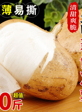 广西凉薯10斤新鲜现挖农家当季蔬菜白地瓜豆薯番薯沙葛山芋包邮5
