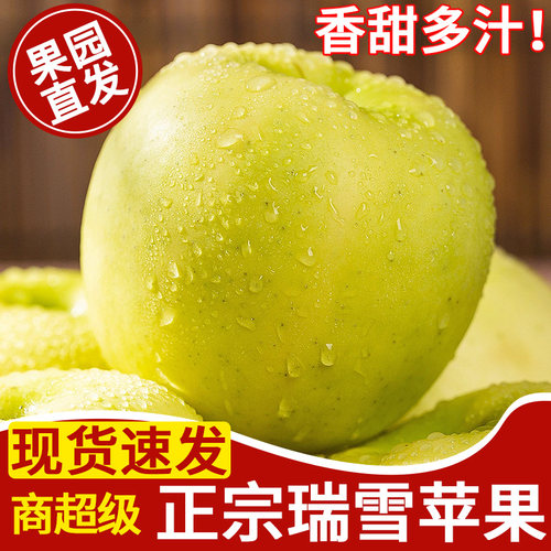 现摘陕西瑞雪苹果丨脆甜爽口！