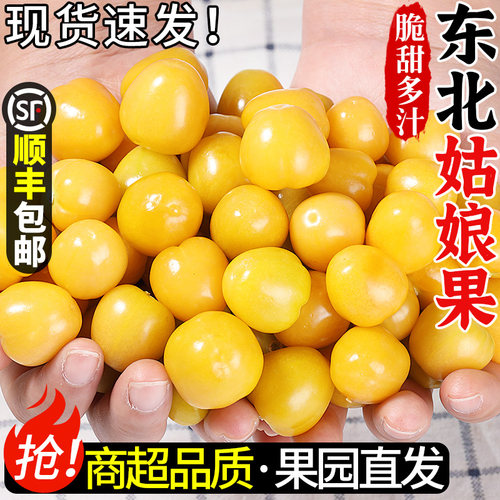 现摘现发！东北姑娘果！香甜爆汁