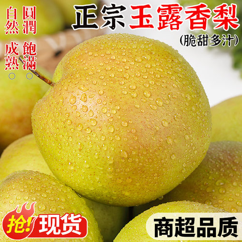 【正宗原产地】玉露香梨！自然熟