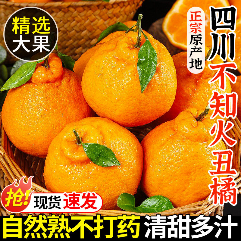 四川不知火丑橘新鲜水果应当季耙耙粑粑桔子丑柑橘子大果整箱包邮