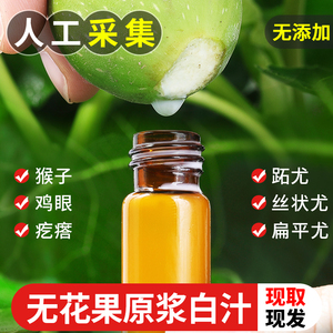 无花果白汁原浆乳液5ml装新鲜液体树茎叶枝汁扁平尤猴子现挤现发