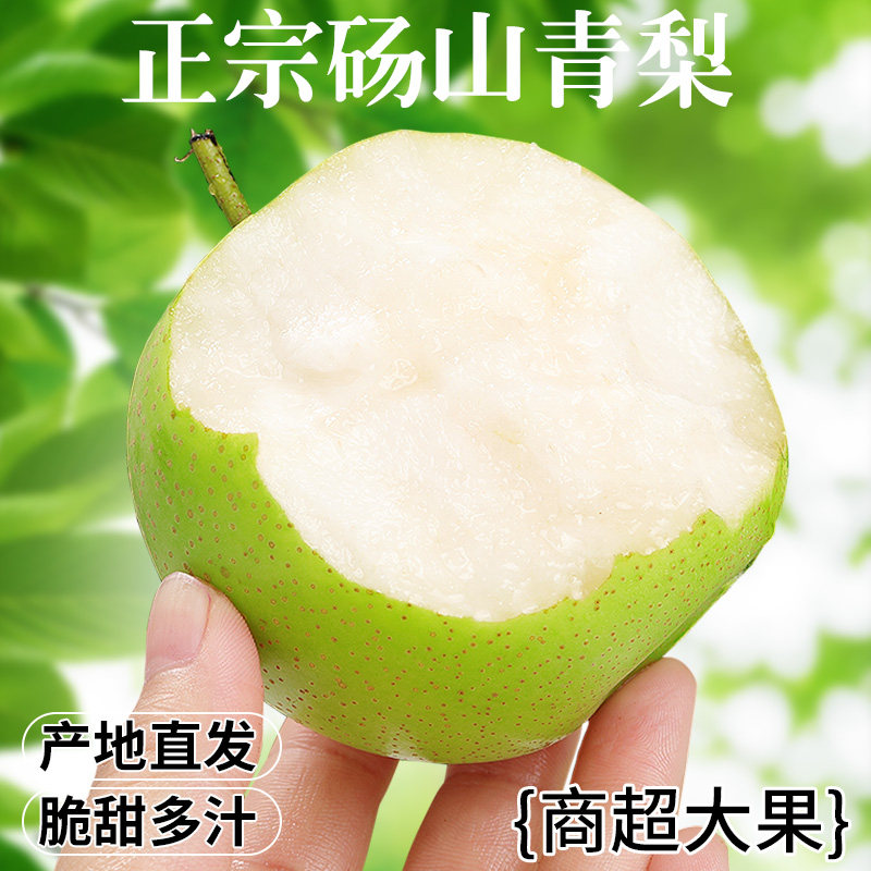 【商超品质】正宗砀山青梨！脆甜