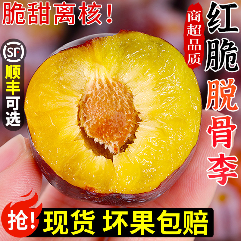 正宗四川五月脆李红脆脱骨李子当季新鲜水果脆甜凤凰李冰糖李整箱