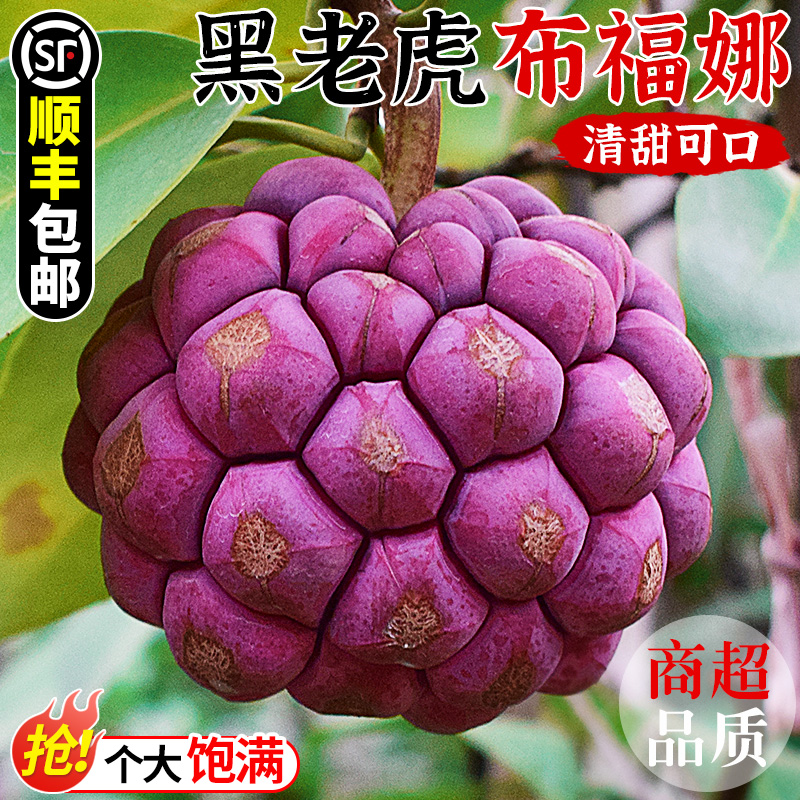 现摘!黑老虎布福娜水果!顺丰包邮