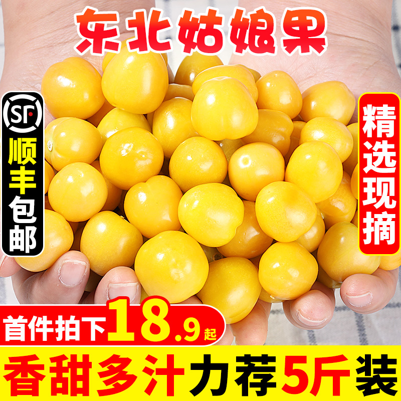 东北姑娘果新鲜当季水果5斤