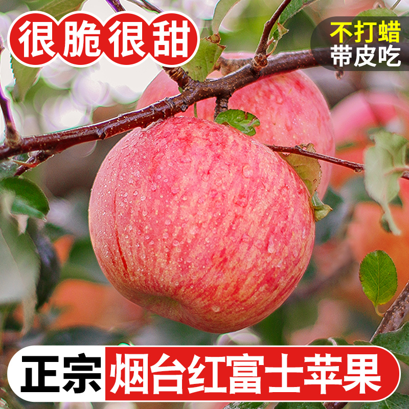 烟台红富士苹果9斤新鲜现摘水果当季整箱脆甜萍果冰糖心丑平果10