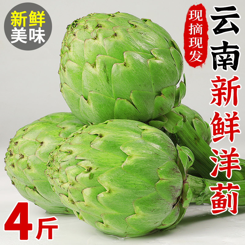 探味君云南新鲜洋蓟4斤整箱时令蔬菜朝鲜蓟西餐食材券后19.8元