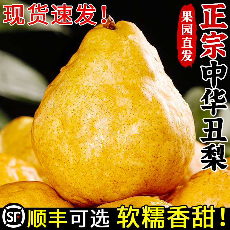 正宗烟台中华丑梨当季新鲜水果山东莱阳梨太婆梨啤梨软糯香甜整箱,水产肉类/新鲜蔬果/熟食,梨,淘宝优惠券,粉丝福利购,淘宝优惠卷