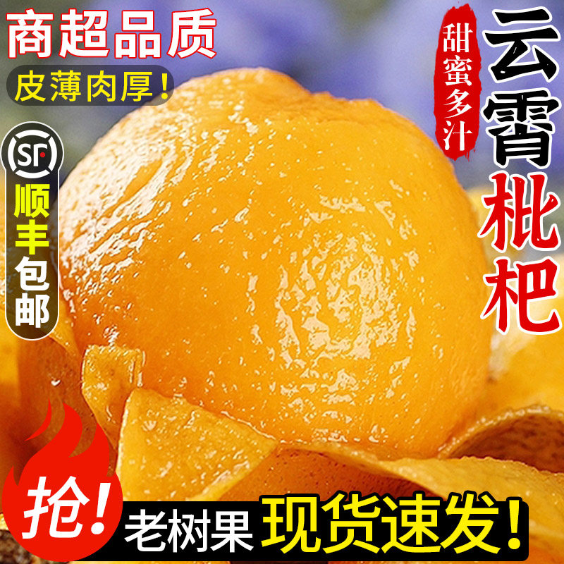 顺丰正宗云霄枇杷鲜果5斤新鲜水果当季甜琵琶果批把现摘现发包邮3