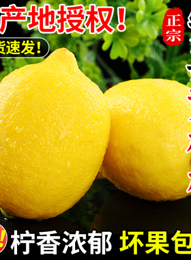 四川安岳黄柠檬10斤当季新鲜水果精选皮薄香水鲜甜柠檬青整箱包邮