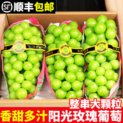 【自然熟】阳光玫瑰葡萄！大颗粒