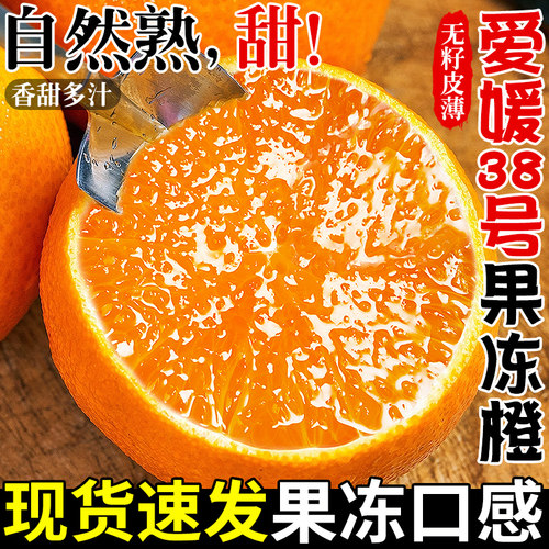 现货速发！爱媛果冻橙！香甜爆汁