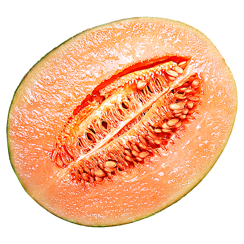 正宗新疆哈密瓜新鲜水果10斤当季现摘冰淇淋网纹瓜即食蜜甜瓜包邮