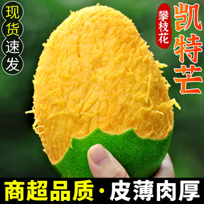 现摘！攀枝花凯特芒！香甜多汁！