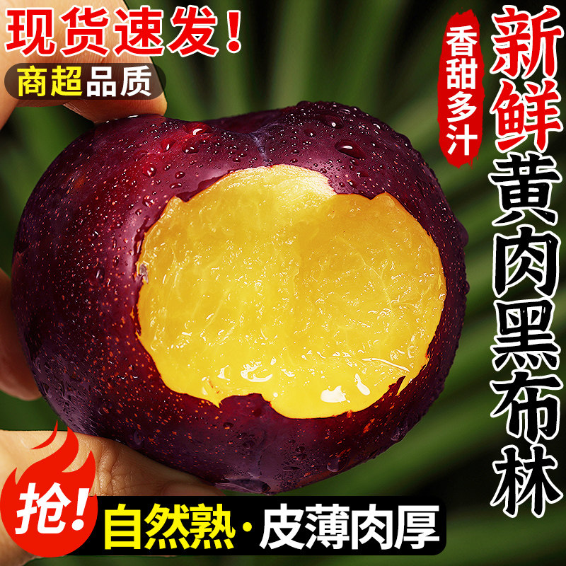 黄肉黑布林李子新鲜当季水果现摘黄心三月李子恐龙蛋大果整箱包邮