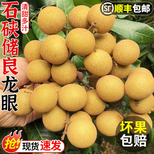 现摘现发！石硖储良龙眼！自然熟