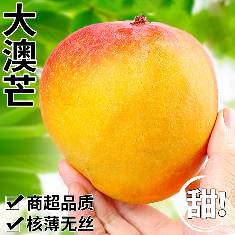 澳芒大芒果9斤应当季热带水果青皮甜心凯特芒苹果芒新鲜现摘整箱