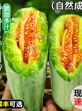 山东羊角蜜甜瓜新鲜水果当季整箱羊角脆甜蜜瓜冰淇淋香瓜时令包邮