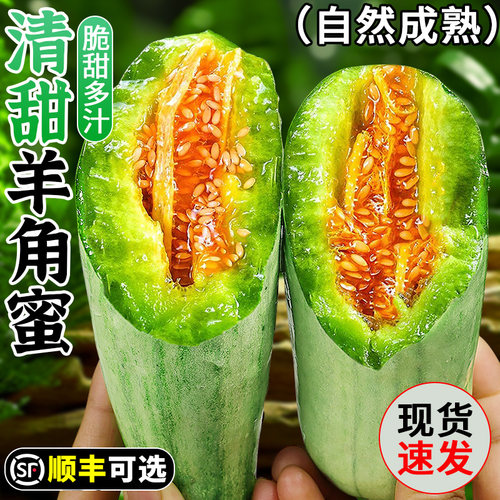 【商超品质】冰淇淋羊角蜜甜瓜！