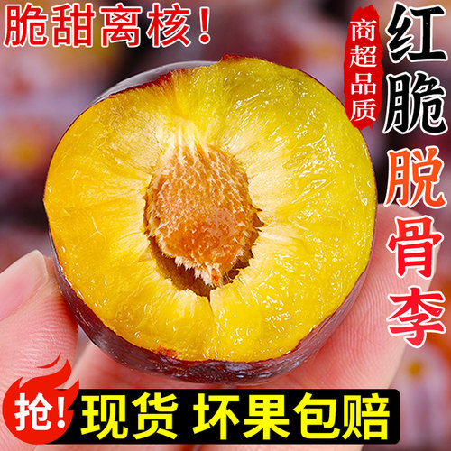 果园现摘！四川红脆脱骨李！脆甜