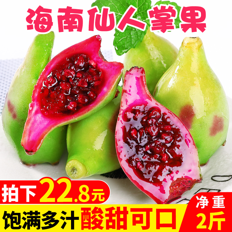 海南仙人掌果实2斤装新鲜当季青皮水果三亚特产热带整箱批发包邮