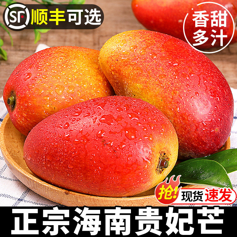 海南贵妃芒新鲜芒果应当季水果树上熟红金玉青辣椒芒现摘大果整箱