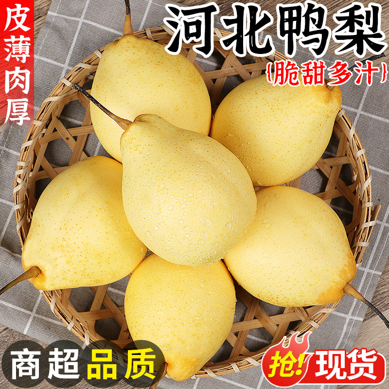 现摘现发丨河北鸭梨丨脆甜多汁