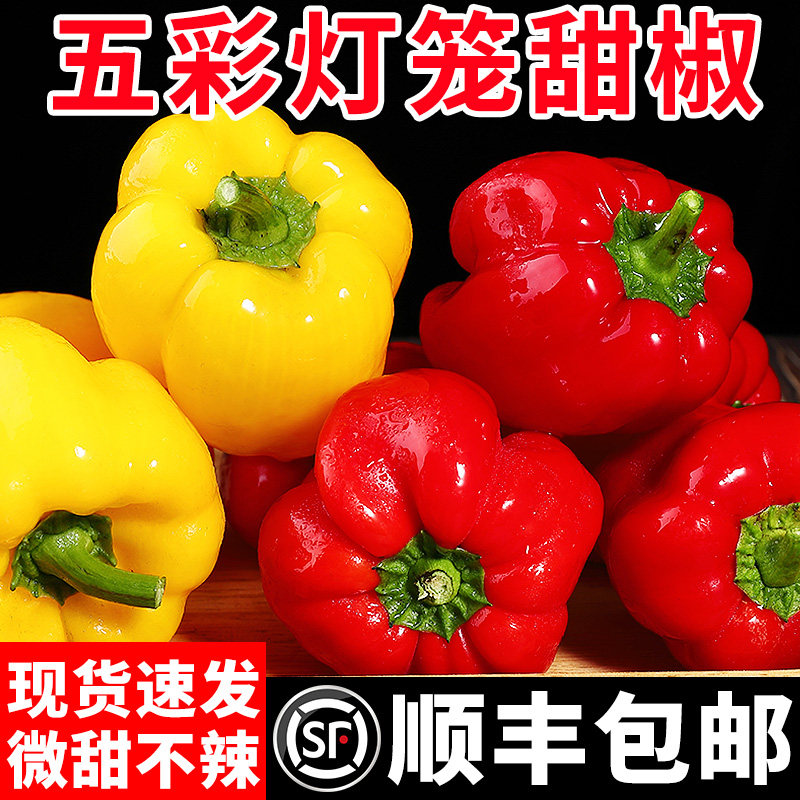 新鲜水果彩椒五彩椒椒生吃现摘七彩圆椒青椒灯笼甜椒新鲜蔬菜顺丰