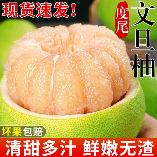 老树大果！正宗度尾文旦柚！脆嫩