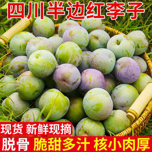 自然熟！正宗半边红脱骨李！脆甜