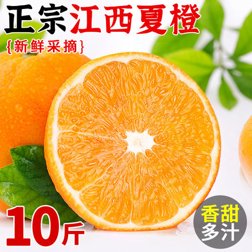 江西夏橙颗颗爆汁香甜多汁