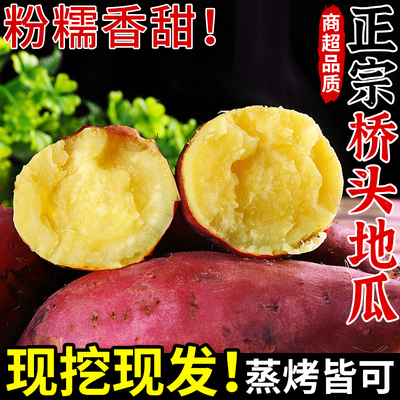 【现挖现发】正宗澄迈桥头地瓜！