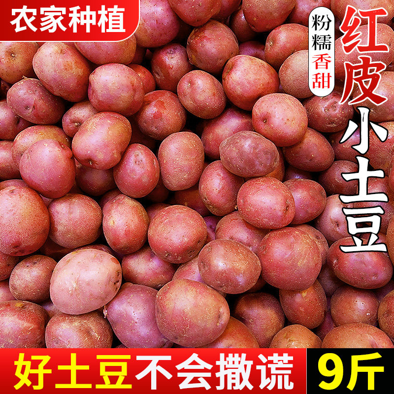 云南红皮土豆9斤新鲜当季小土豆黄心洋芋马铃薯农家蔬菜批发包邮