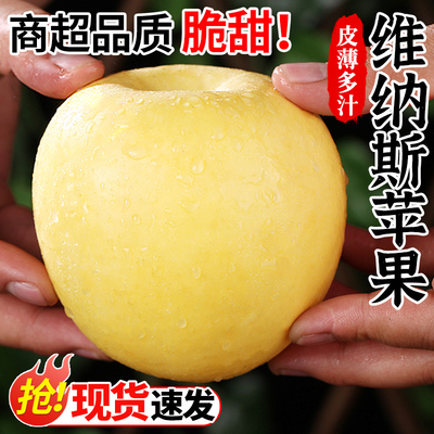 维纳斯苹果丨奶香味丨精选品质