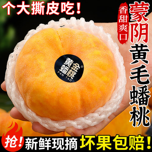 树上自然熟！蒙阴黄金毛蟠桃！