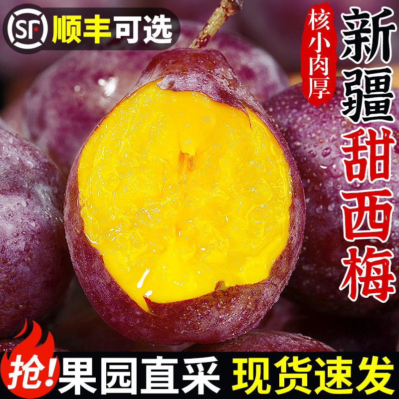 顺丰正宗新疆甜西梅新鲜水果5斤当季现摘法兰西脆甜西梅大果整箱3