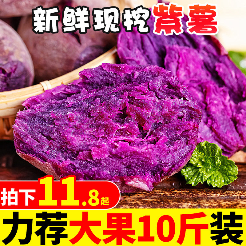现挖沙地紫薯10斤新鲜板栗红薯番薯地瓜蜜薯山芋烟薯蔬菜农家自种