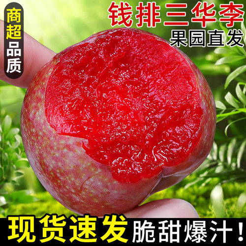 精选品质！正宗三华李！脆甜爽口