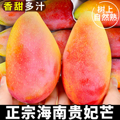 【精选品质】正宗海南贵妃芒果！