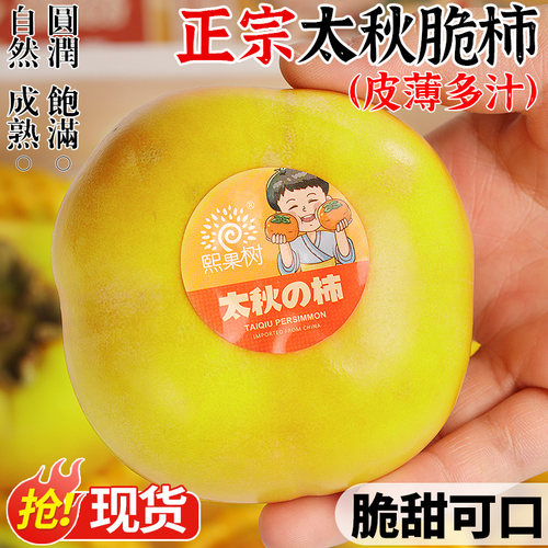 自然熟丨正宗太秋脆柿丨脆甜爽口