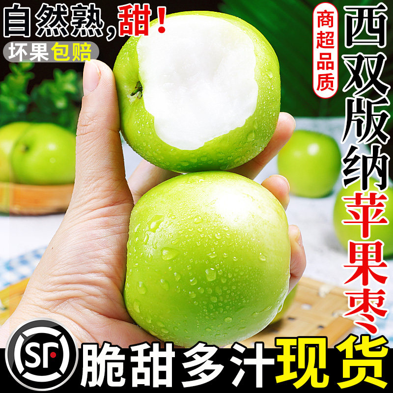 正宗云南西双版纳苹果枣新鲜现摘脆甜牛奶大青枣脆枣蜜枣当季水果