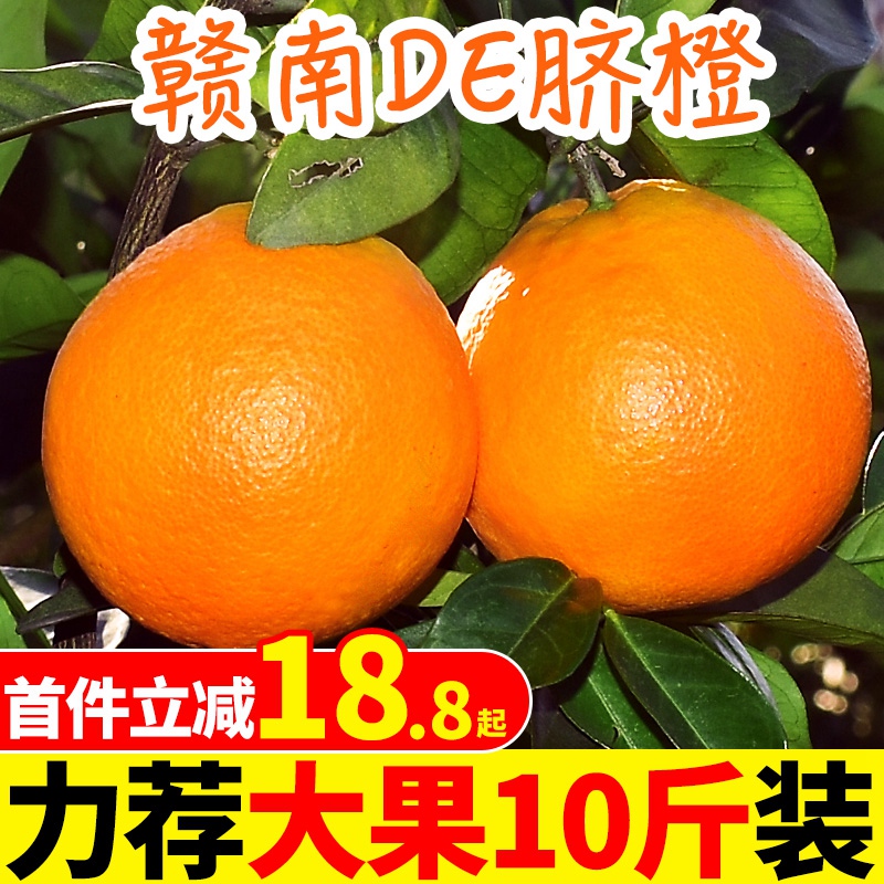 江西赣南脐橙橙子新鲜10斤大果包邮当季水果整箱应季甜橙20果冻橙