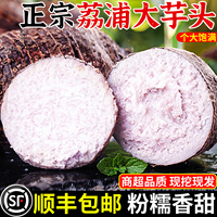 广西正宗荔浦新鲜大芋头农家现挖粉香芋槟榔芋紫藤芋毛芋顺丰包邮