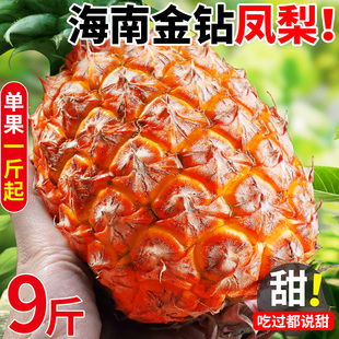 海南金钻凤梨新鲜水果当季正宗香水菠萝手撕芒果菠萝无眼特产整箱
